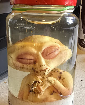 ....möglicher Hinweis auf einen UFO-Absturz ;o))