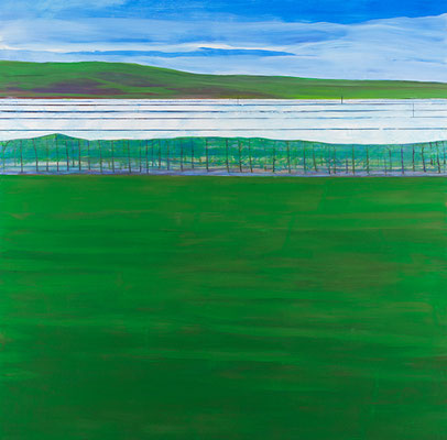 Voile de forçage. huile/toile. 200/200cm