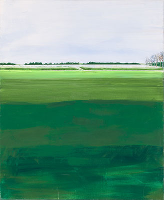 sans titre.  Acrylique/bois.61/50cm