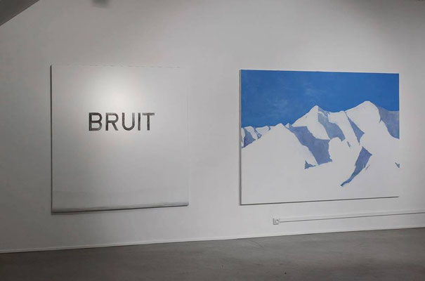 Exposition au Frigo. Albi Tarn. Février 2014. 