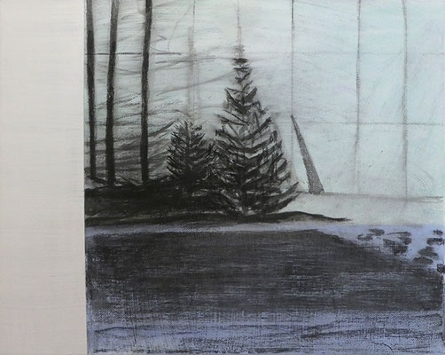 sans titre. Acrylique et fusain /toile. 33/40cm
