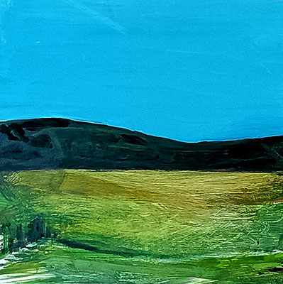 s.titre. acrylique/toile.30/30cm