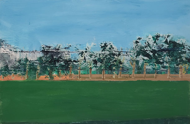 sans titre.acrylique/toile.20/30cm.
