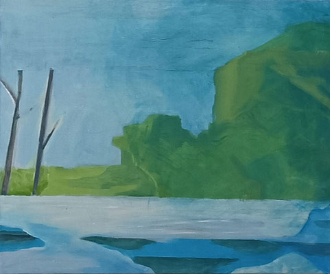 s.titre. huile et acrylique/toile. 47/55cm
