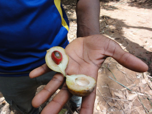 le faux litchi sert de maquillage