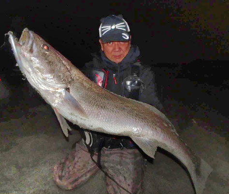 オオニベ10kgオーバー