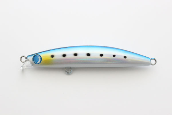 06-Real sardine