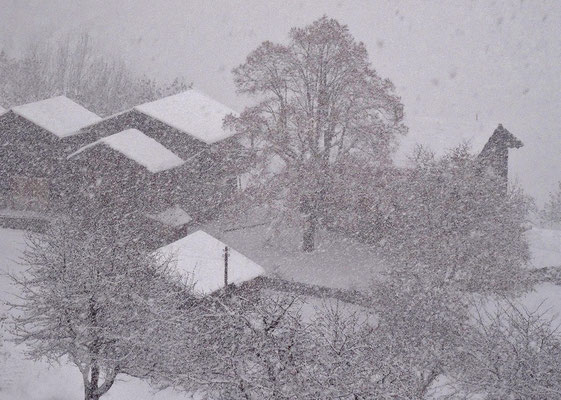 Weiler Blatt im Schneetreiben