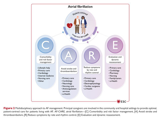 Quelle: European Heart Journal, 30.8.2024, "2024 ESC Guidelines for the management of atrial fibrillation"