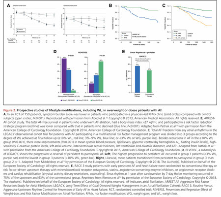 Quelle: Circulation, 21.4.2021, "Lifestyle and Risk Factor Modification for Reduction of Atrial Fibrillation: A Scientific Statement From the American Heart Association