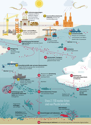 Quelle: WWF-Studie / Alfred-Wegener-Institut, Jan 2022, "Auswirkungen von Plastikverschmutzung  im Ozean auf marine  Arten, Biodiversität & Ökosysteme 