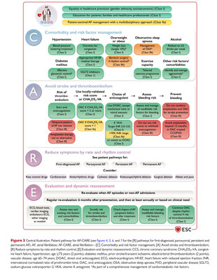 Quelle: European Heart Journal, 30.8.2024, "2024 ESC Guidelines for the management of atrial fibrillation"