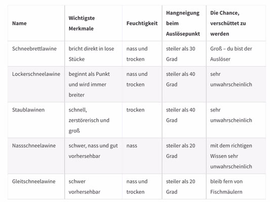 Lawinenarten (http://mountainacademy.salomon.com/de/demo/420/ubersicht-lawinen-und-ihre-merkmale)