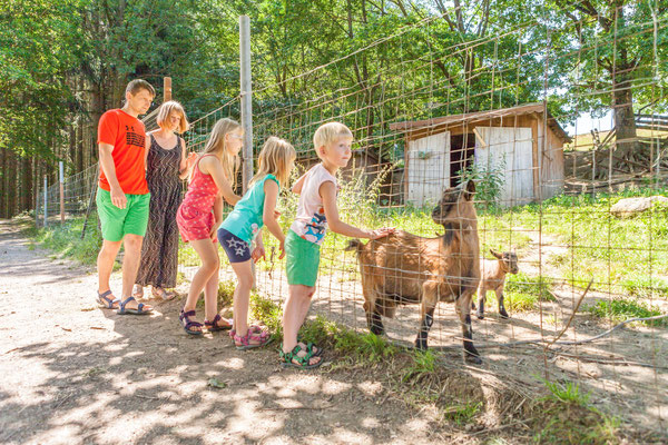 Moosbach Kurpark erkunden (Copyright Landkreis NEW) 