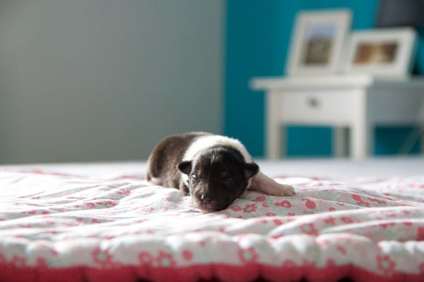 Boy 1, 7 days