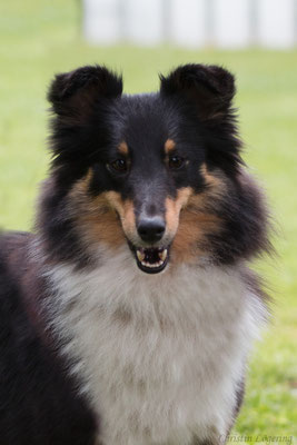 1 1/2 years old