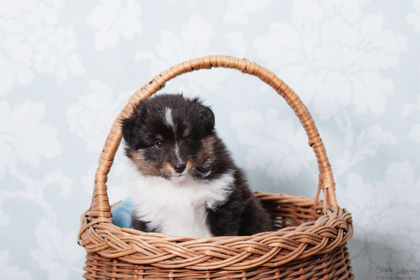 Tilda 4 weeks