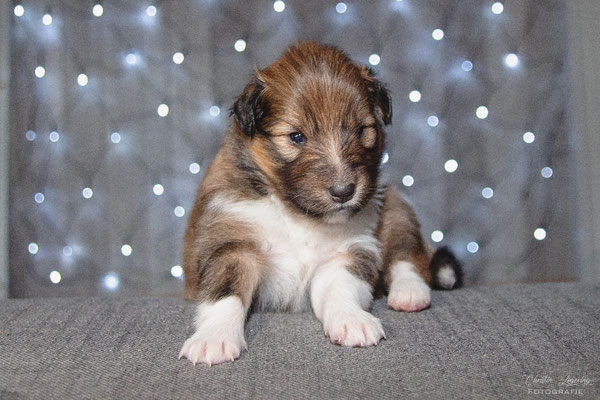Watson 3 weeks