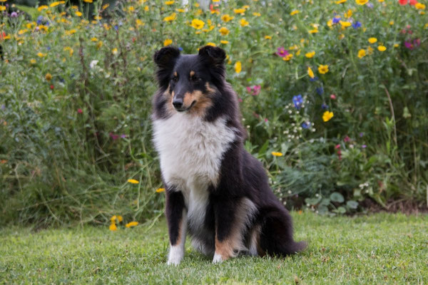 1 1/2 years old