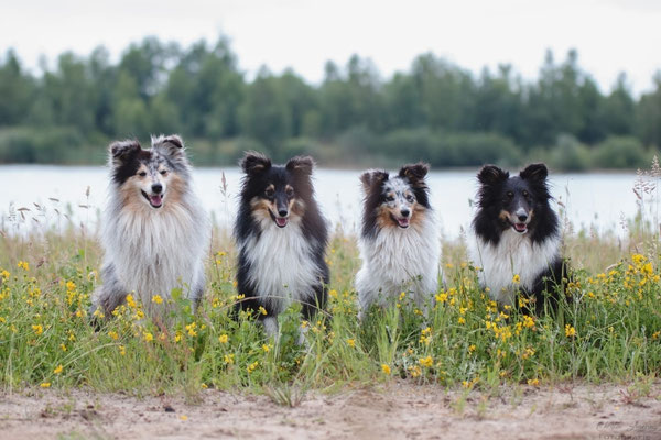 Eros, Dobby, Lily, Ginny