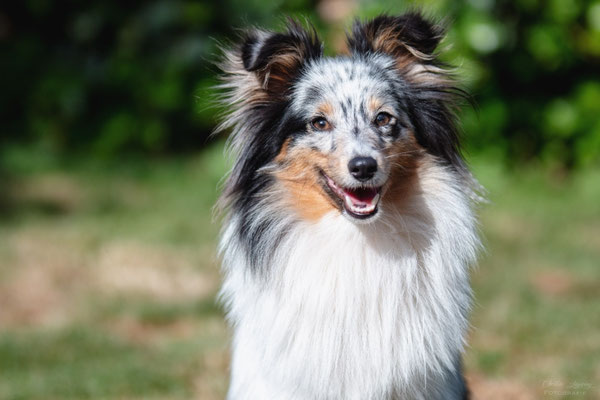 13 months old 