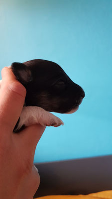 Boy 2, 10 days