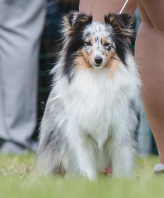 Lily 1 year