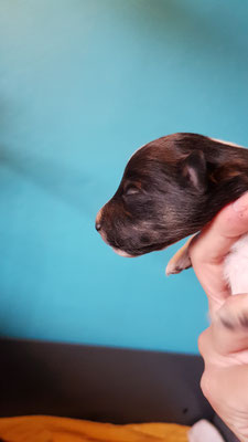 Boy 2, 10 days