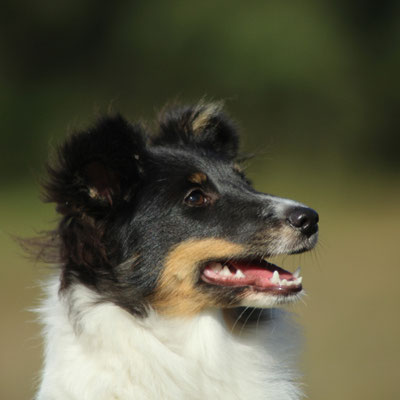 Ginny 6 months 
