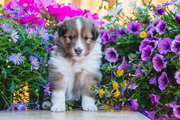Jane 4 weeks