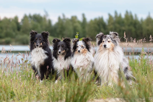Ruby, Ginny, Lily, Eros 