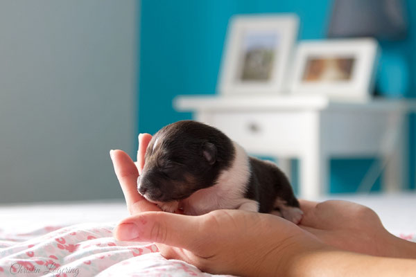 Boy 1, 7 days