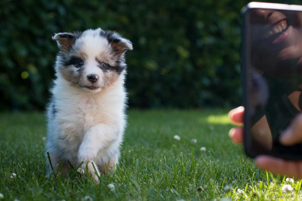 Beutlin's Dearest Boy Who Lived *Harry, 5 weeks old