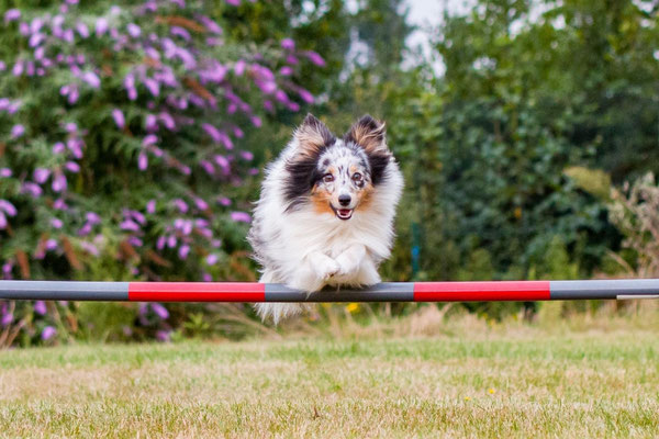 13 months old 