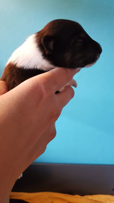Boy 1, 10 days