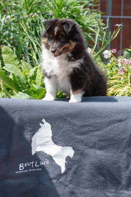 Tilda 8 weeks