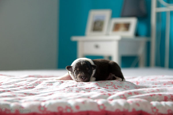  Boy 1, 7 days