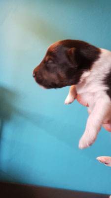 Boy 1, 10 days