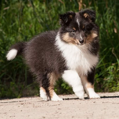 Tilda, 12 weeks 
