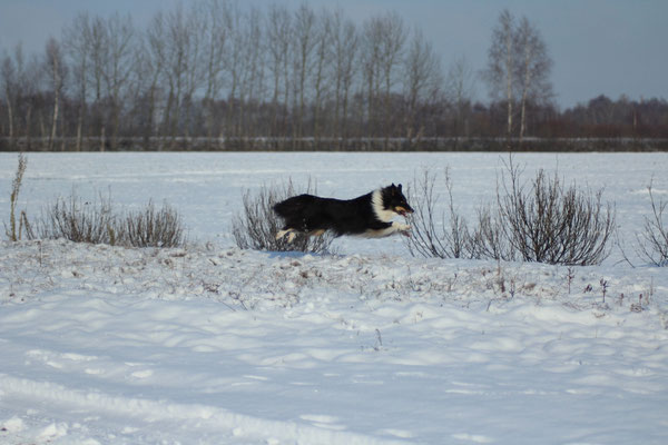 Januar 2019
