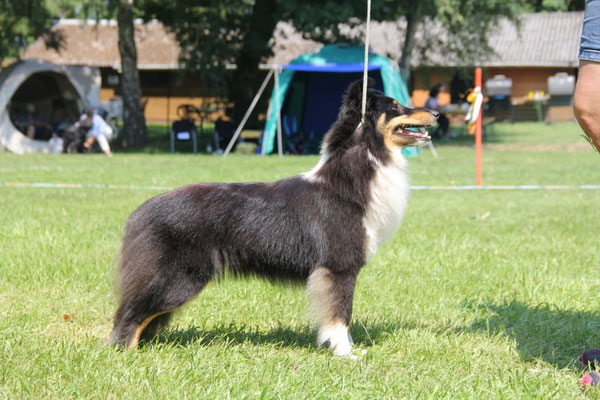1 1/2 years old
