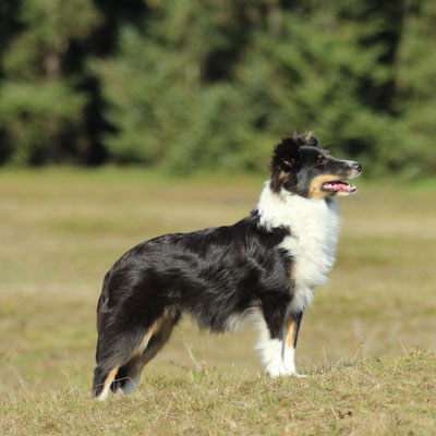 Ginny 6 months 32,5 cm