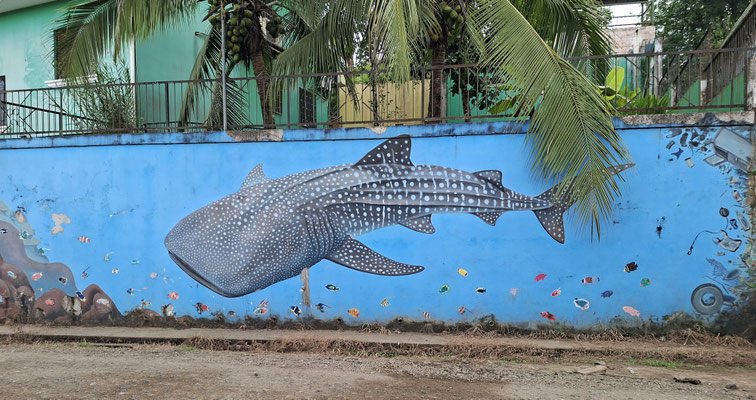 Streetart in Agujitas