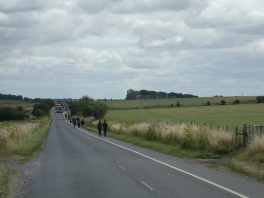 New Forest