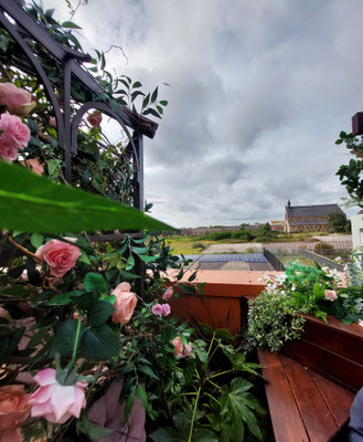 grandiose Dachterrasse im Gewerbegebiet