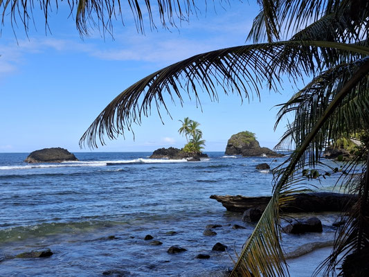 Wizard Beach auf der Isla Bastimentos