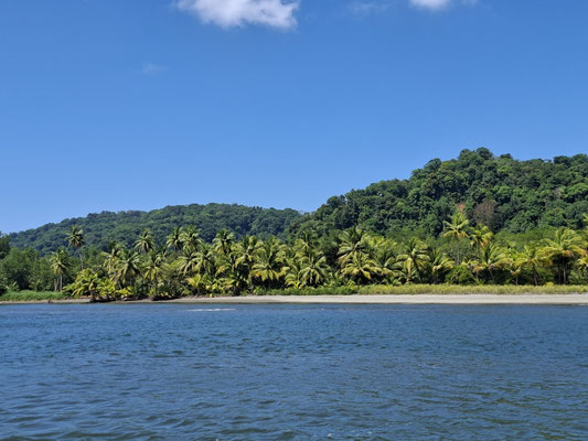 Aussicht vom Bus in die Bahía Drake