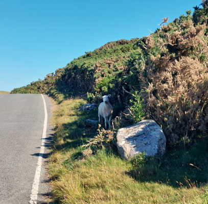 "Und was machst du heute so?" - "Ich erschrecke Wanderer"