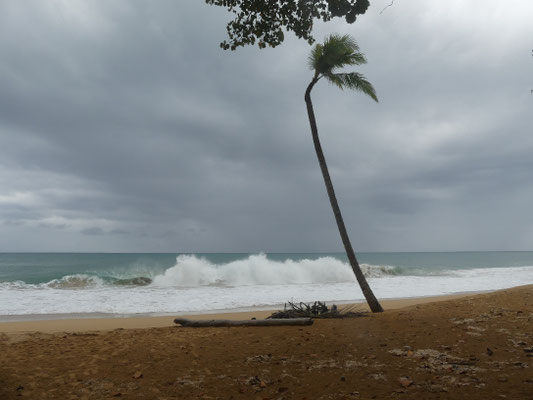 Bluff Beach