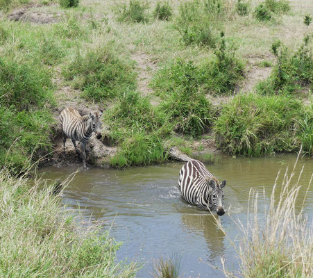 Maasai Mara, Kenia